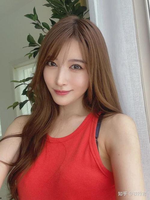 AV百科最新,揭秘成人影视产业全貌