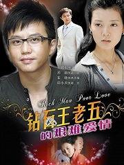 钻石王老五的艰难爱情全集在线观看,全集在线观看，浪漫与挑战交织的甜蜜旅程