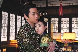 陆贞传奇全集免费观看国产,免费畅享国产古装剧的魅力之旅