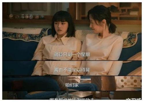 国产情债版在线播放,在线播放，情感纠葛演绎人生百态