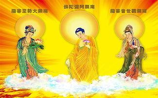 电视频佛祖,穿越时空的智慧之光