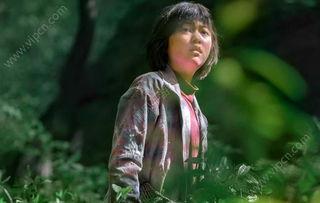 玉子电影手机在线播放,美食与梦想的交织，手机在线播放带你领略