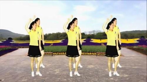 广场舞视频,探寻全民健身的活力之源