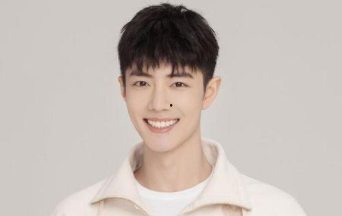 明星热度排行2017,璀璨星光熠熠生辉