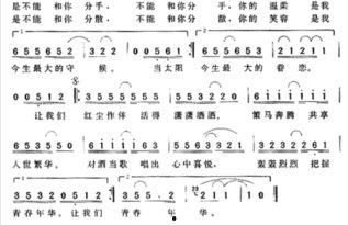 剩下的盛夏歌词视频,跟随歌词视频重温夏日情怀