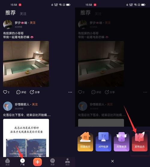 陌陌视频种子,探索社交新玩法