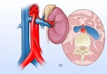 丝袜腿夹睾丸,揭秘神秘情趣现象背后的心理与生理奥秘