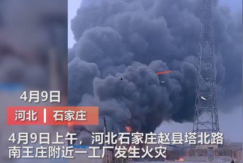 庆城县媒体爆料事件视频,视频揭露惊人真相