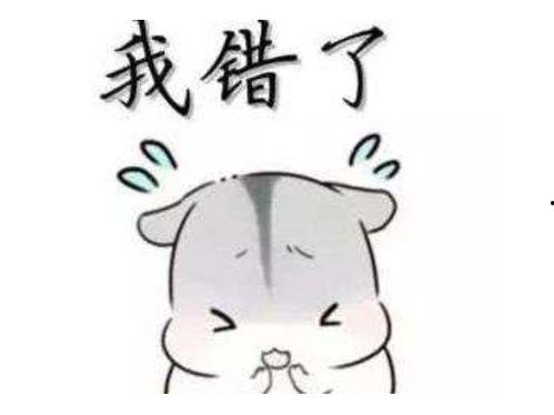 你老公真厉害表情包,表情包里的温馨瞬间