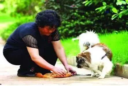 日本女人与狗av下载,揭秘日本女性与犬类AV下载的隐秘世界