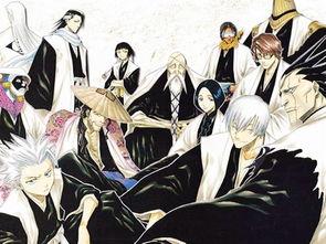 死神高清全集在观看免费,揭秘灵界传奇，探寻灵魂归宿