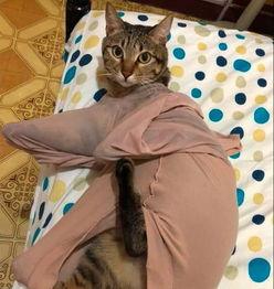 下班换丝袜,下班时光的优雅转身