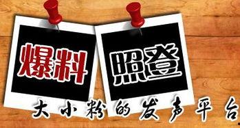 朝天新闻爆料,揭秘事件背后真相