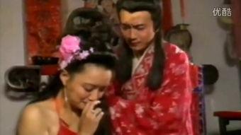 金瓶双梅在线观看,穿越时空的古典情缘