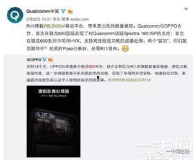 内鬼爆料对话大全视频,揭秘对话大全视频背后的惊人真相