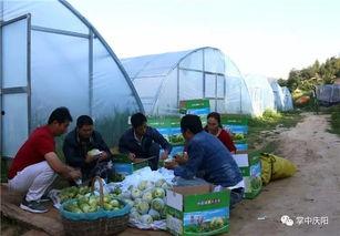 娱乐吃瓜坊,揭秘娱乐圈幕后故事，带你领略明星们的真实生活